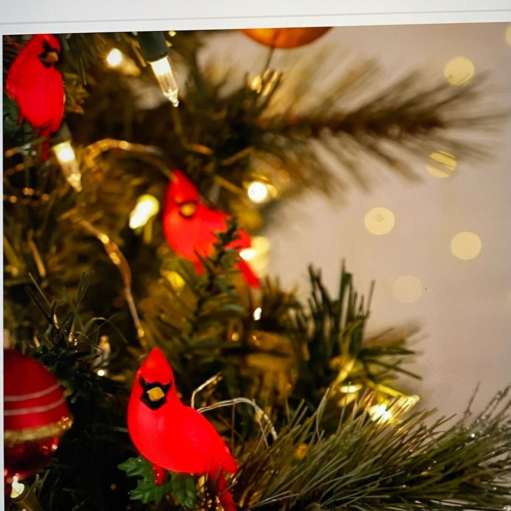 Hallmark Keepsake Decorative Cadinal Light String - Picture 2 of 4